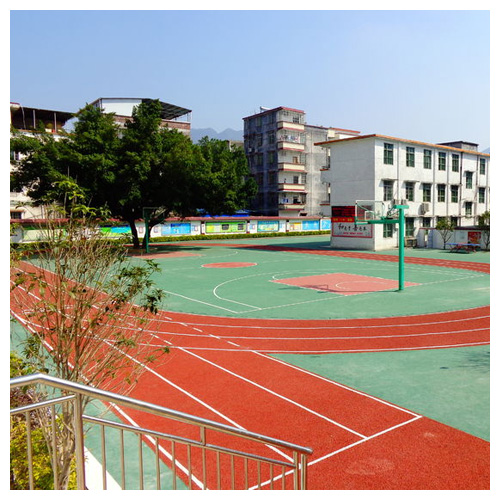 东莞雷公坑小学复合型塑胶跑道